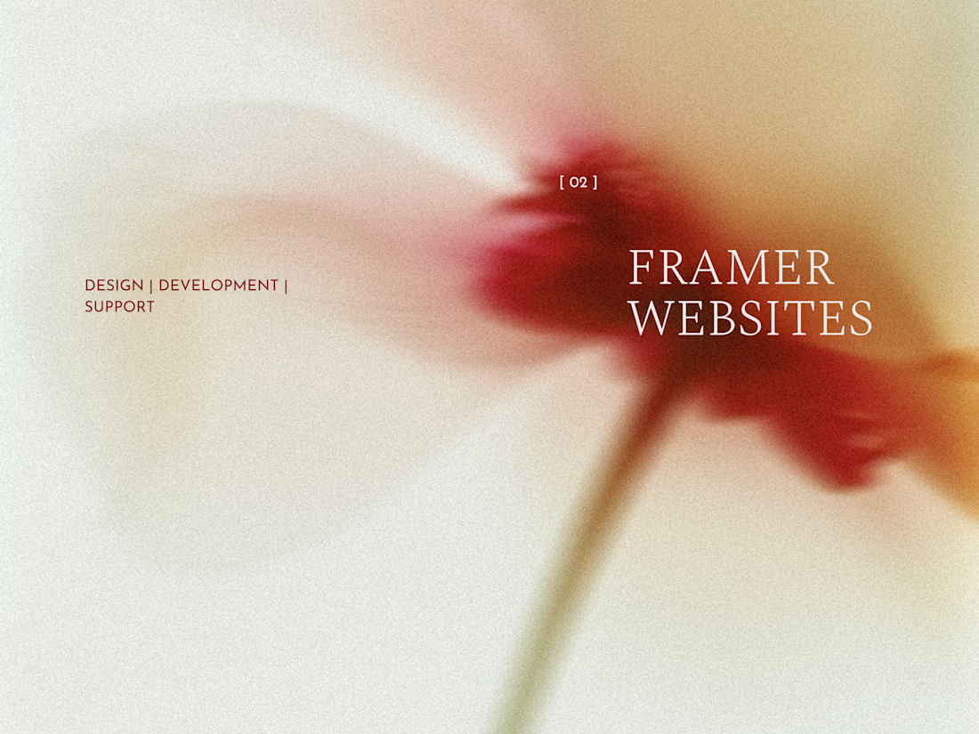 Cover image for Framer Websites