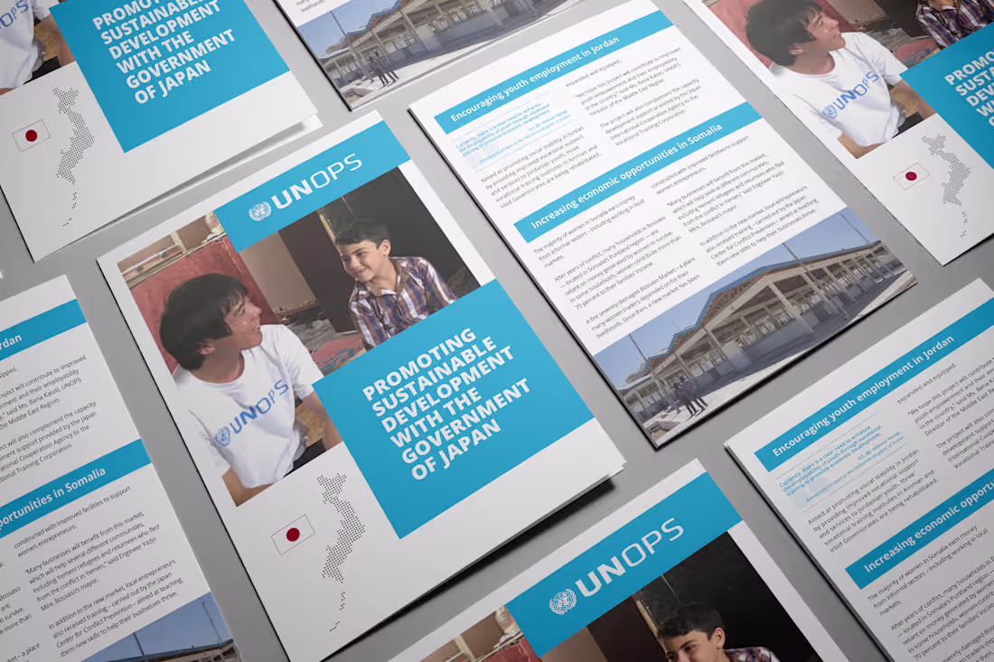 Cover image for Flyer - Promoting sustainable development with the Government of