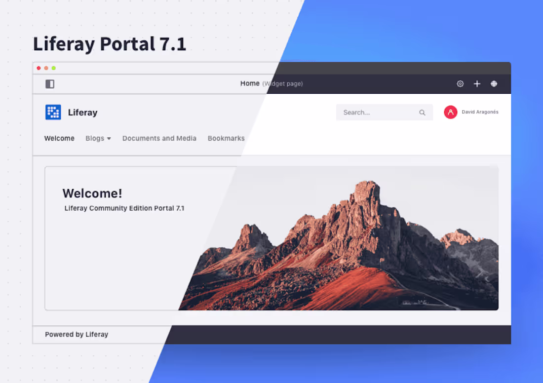 Cover image for Liferay DXP