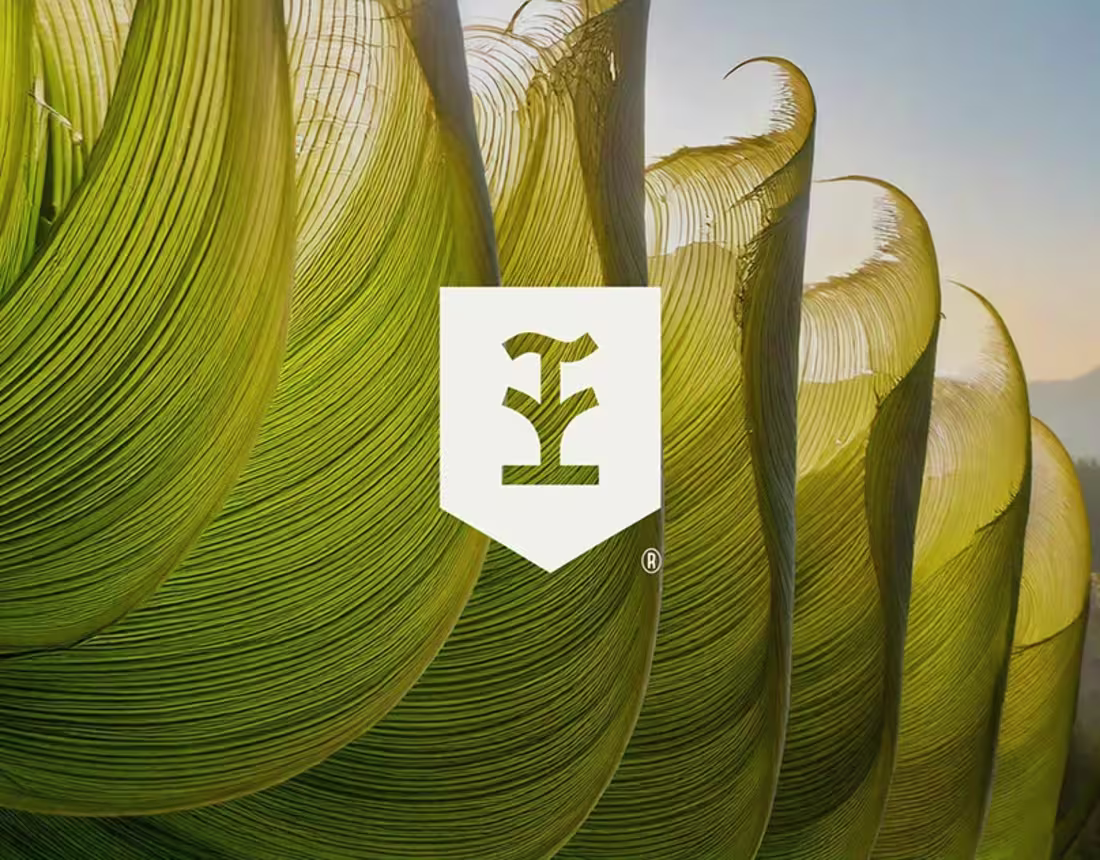 Cover image for Zeliş Çiftliği | Brand Identity