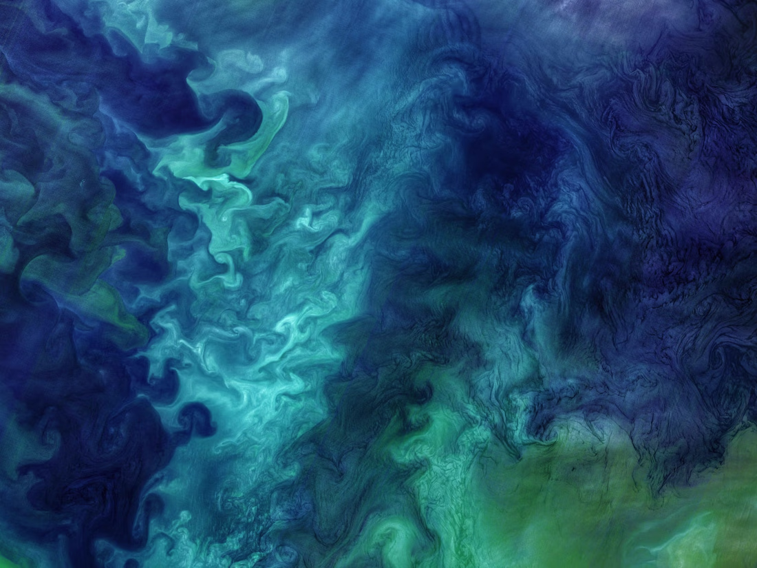 Cover image for Science Content Editing