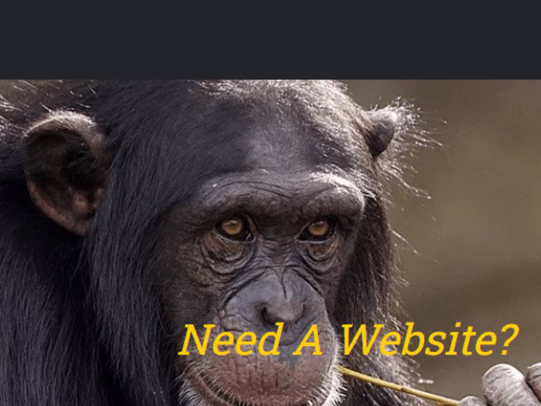 Cover image for Web Development