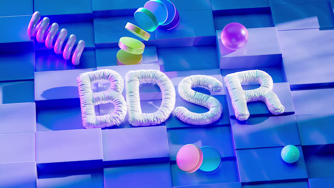 Cover image for BDSR Lite is a professional