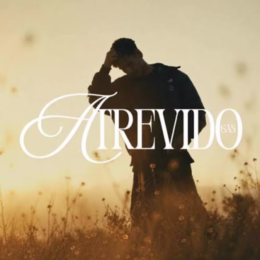 Cover image for Atrevido - GAS (music producer,