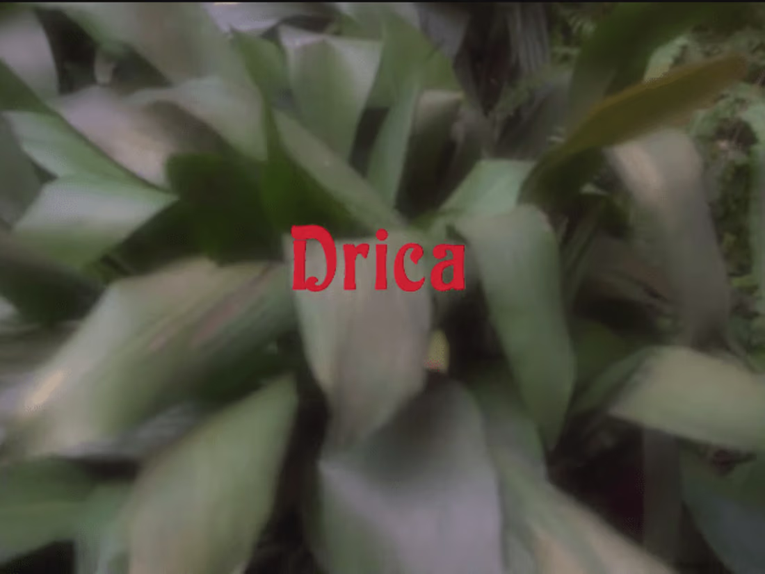 Cover image for Videoclip: Tô te esperando - Drica