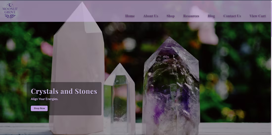 Cover image for Moonlit Grove Holistic Shop