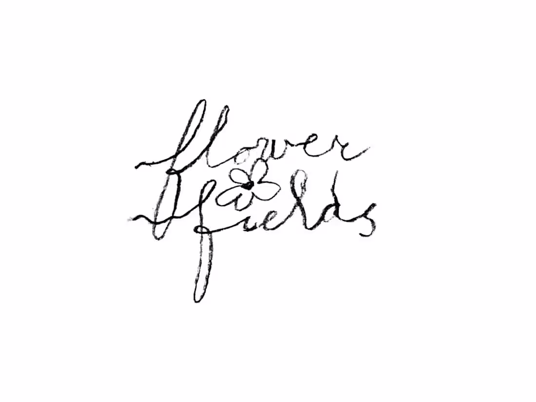 Cover image for Flower Fields