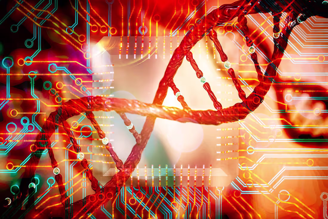 Cover image for Bioinformatics and DNA