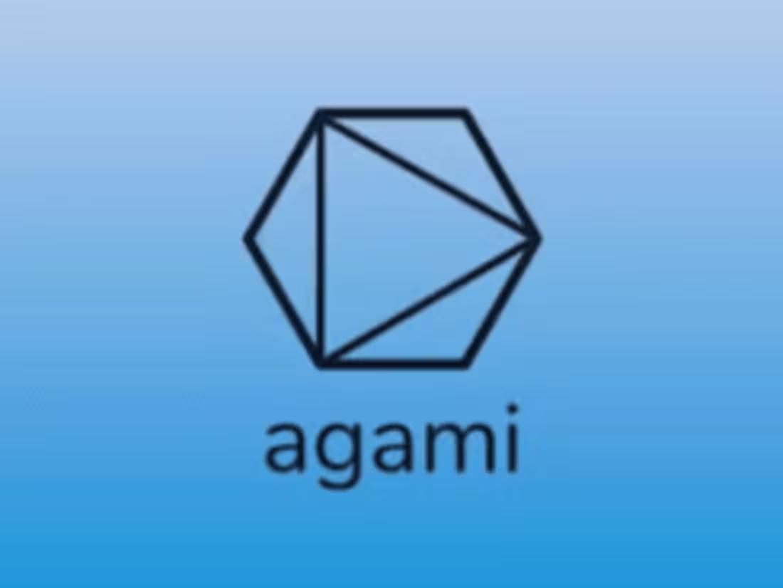 Cover image for Agami Studios