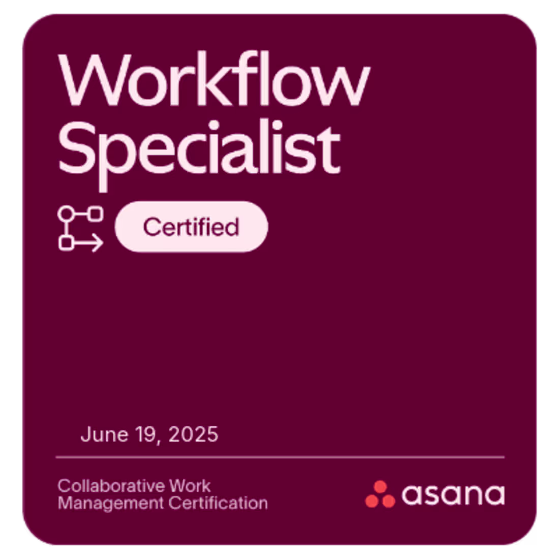 Cover image for Asana System Implementation
