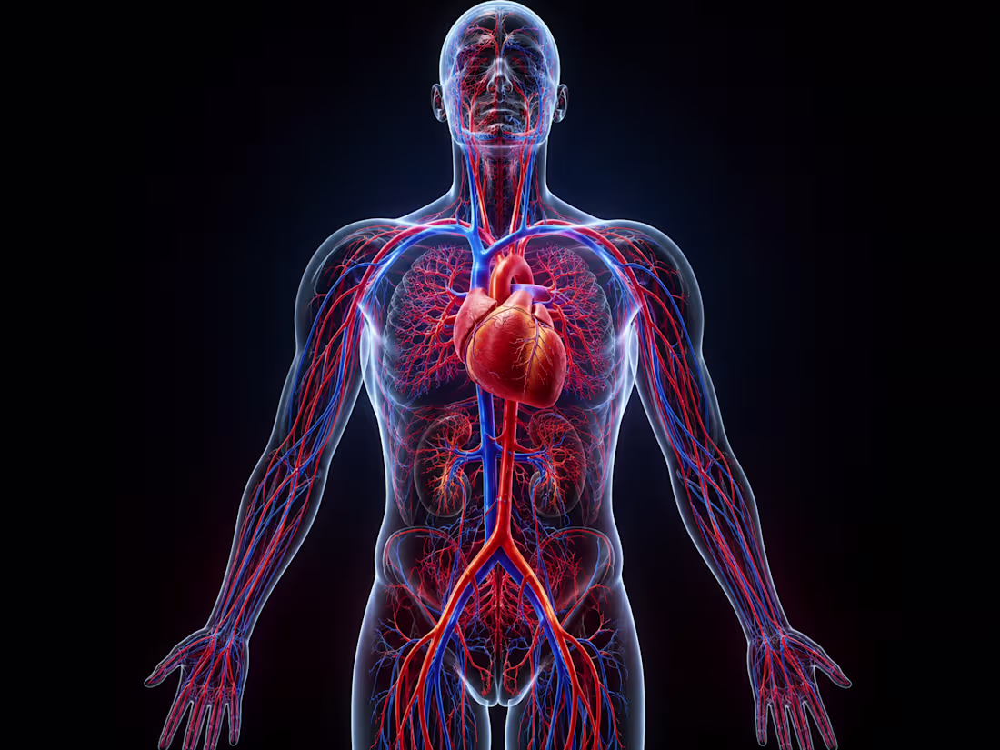 Cover image for 3D Medical & Healthcare Animation Videos