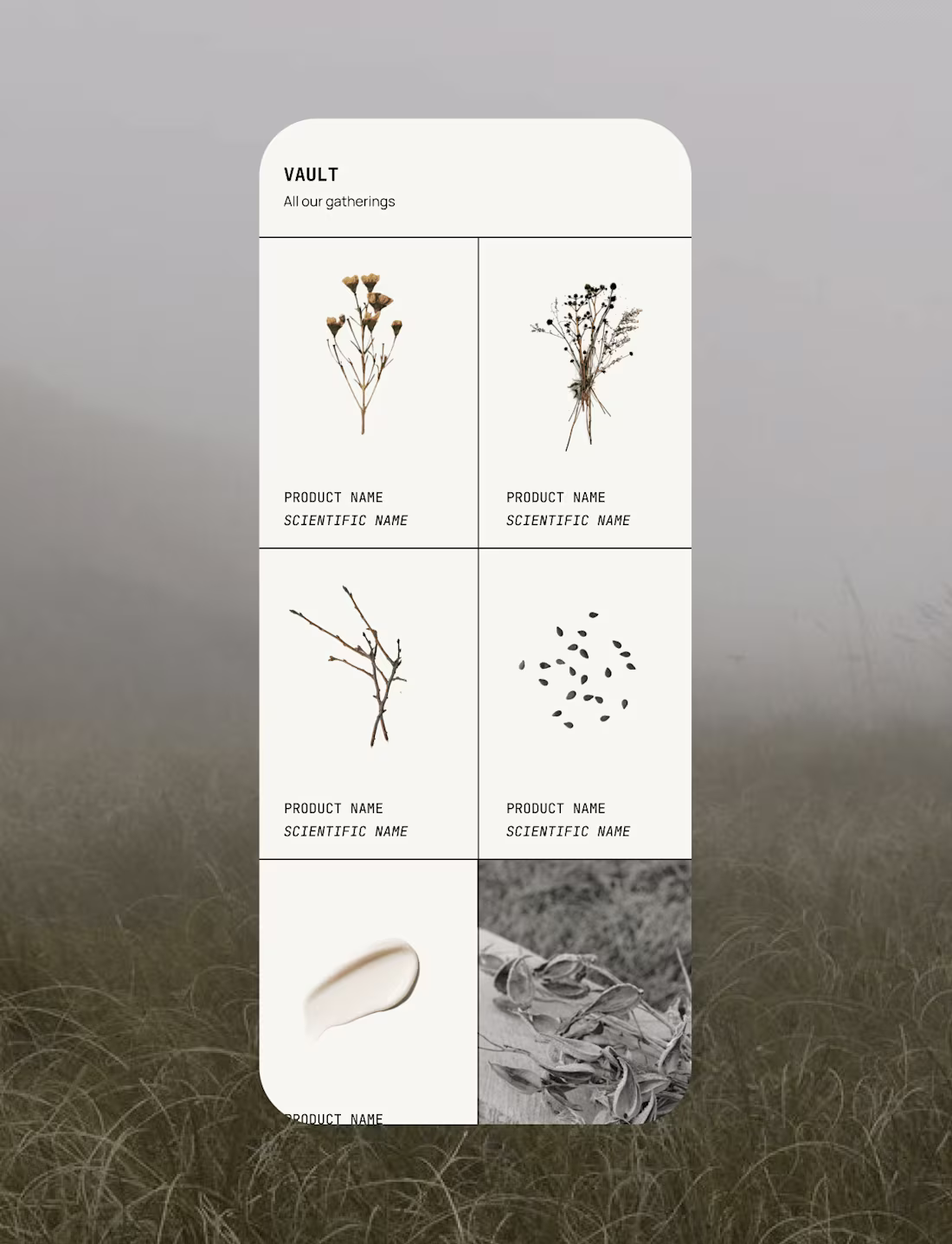 Cover image for The Fen