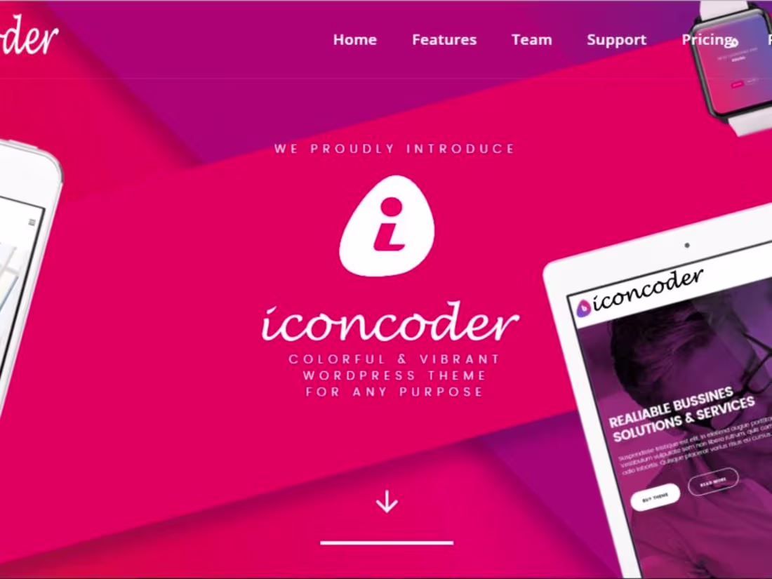 Cover image for WordPress Developer with Elementor Expert