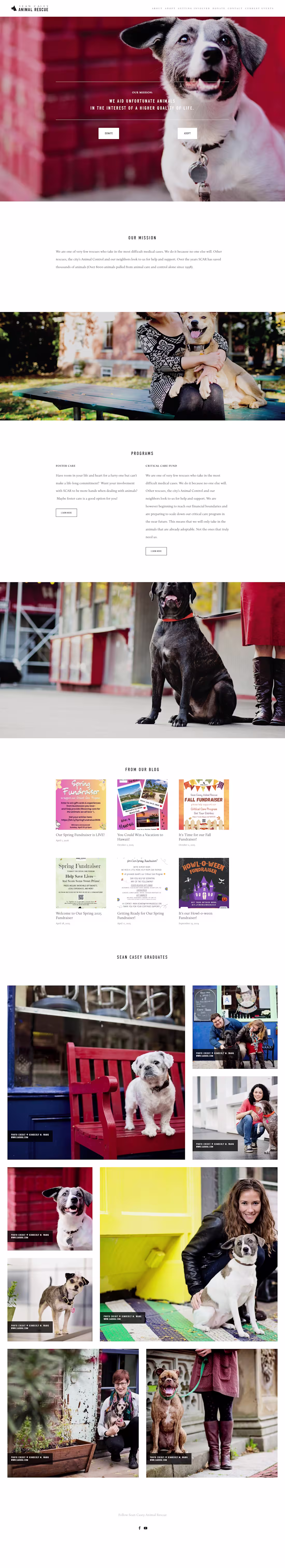 Cover image for I will design squarespace business website redesign wix booking
