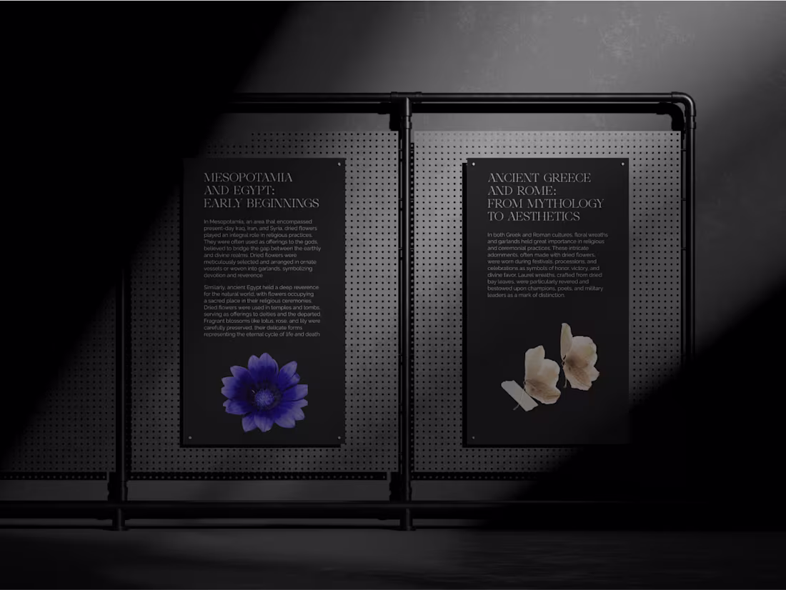Cover image for The Rich History Of Dried Flowers | Longread
