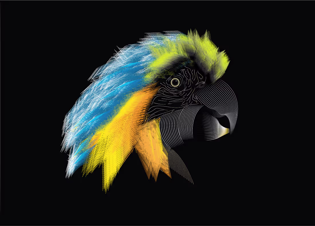 Cover image for Parrot with blend tool 🙌