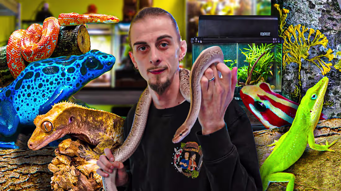 Cover image for ANI' MOOD YOUTUBE THUMBNAILS