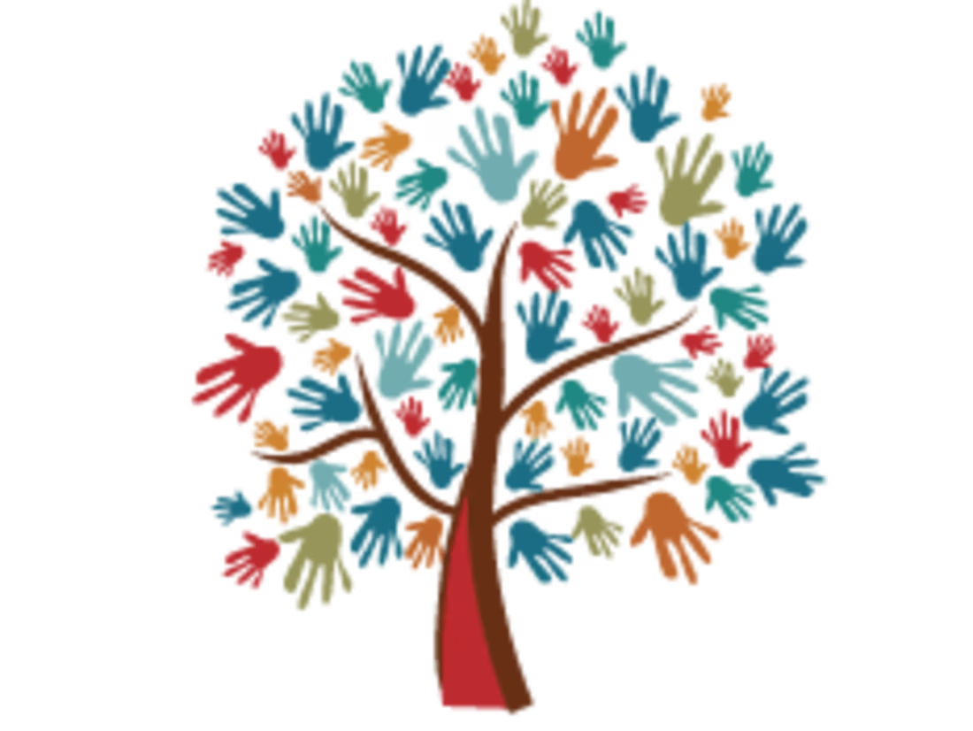 Cover image for La Escuela Cooperativa