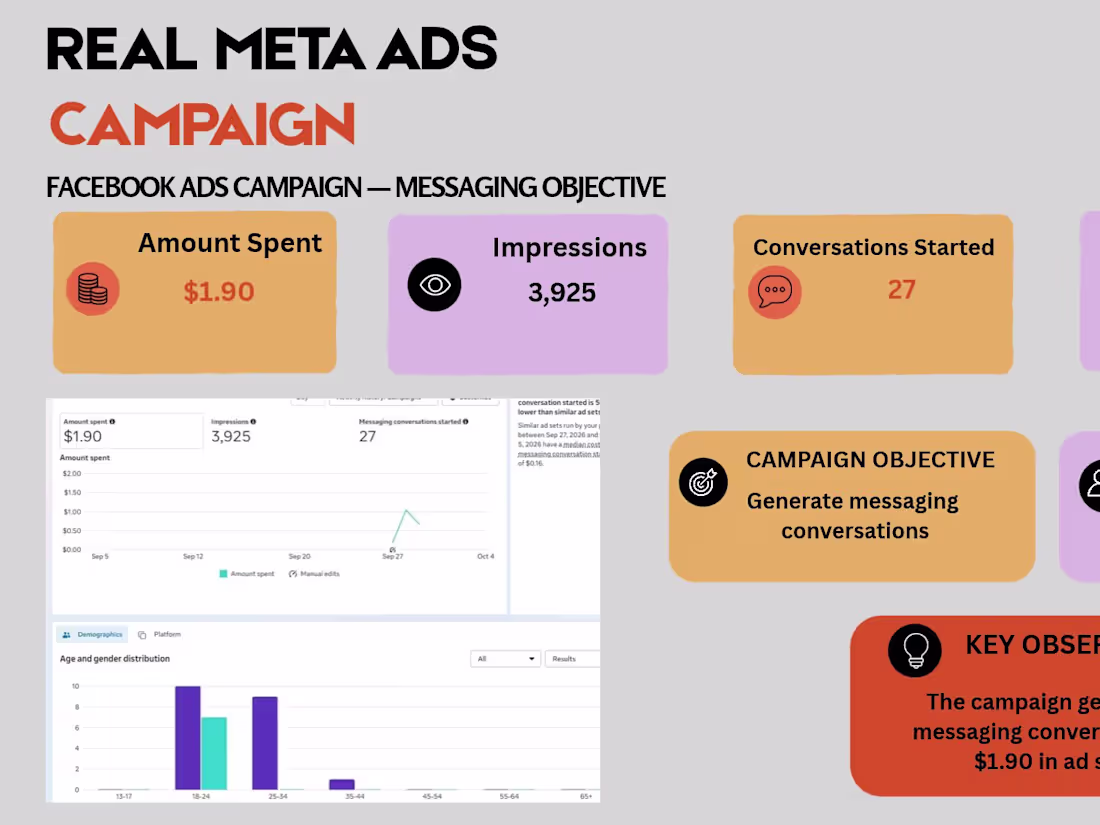 Cover image for Meta Ads Campaign for an