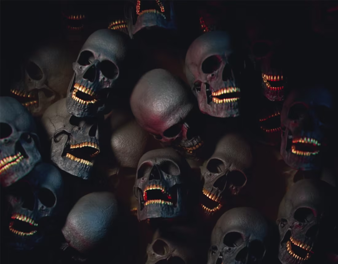 Cover image for Skulls