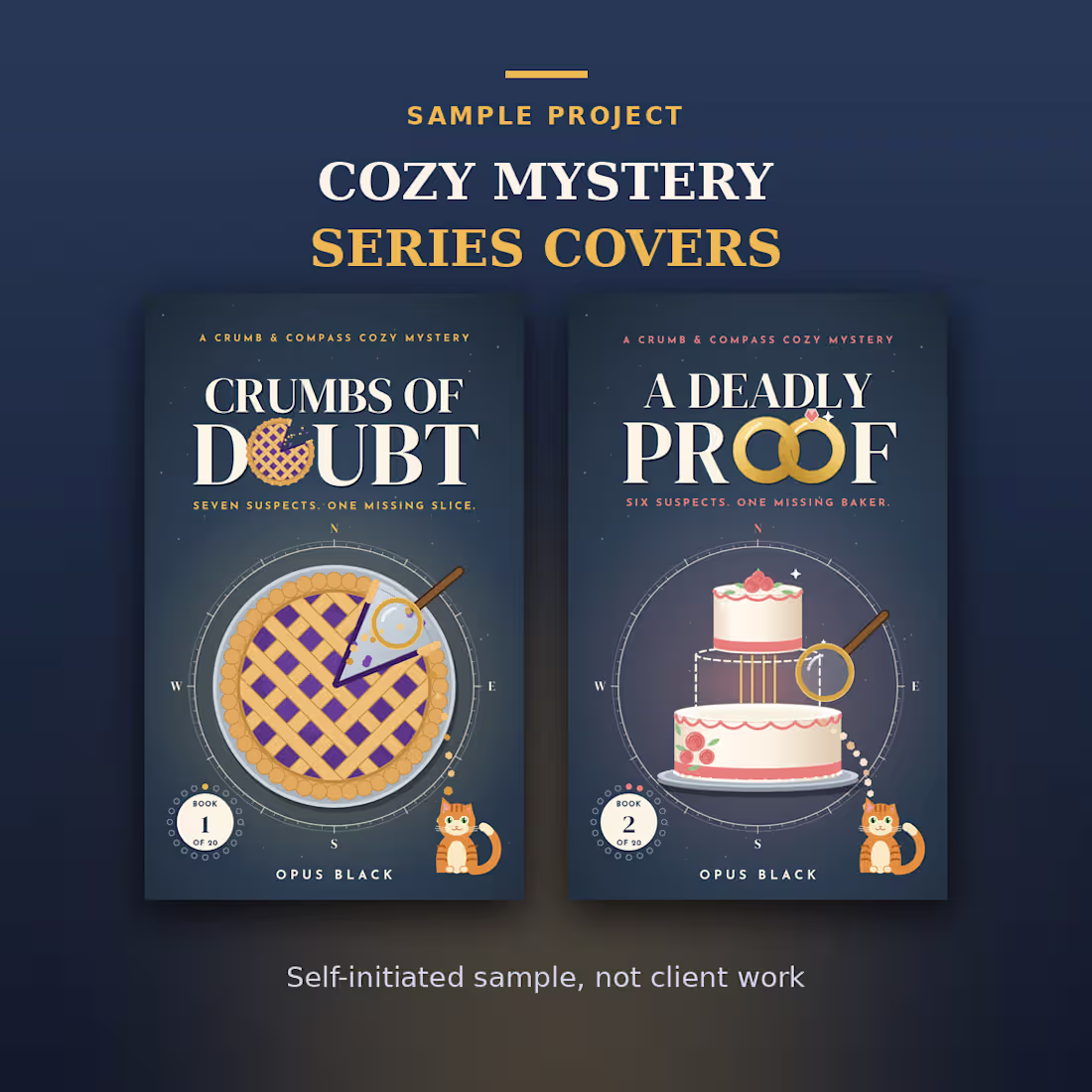 Cover image for A sample project: matching covers