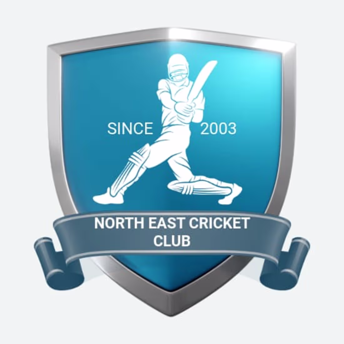 Cover image for It was made for a cricket club.