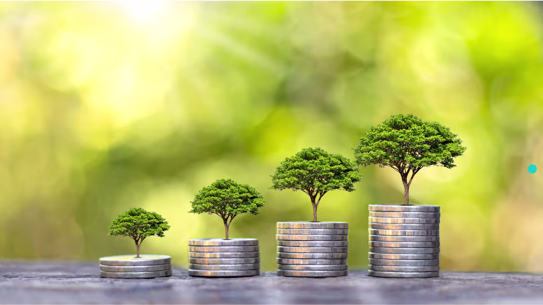 Cover image for Growth can make a business