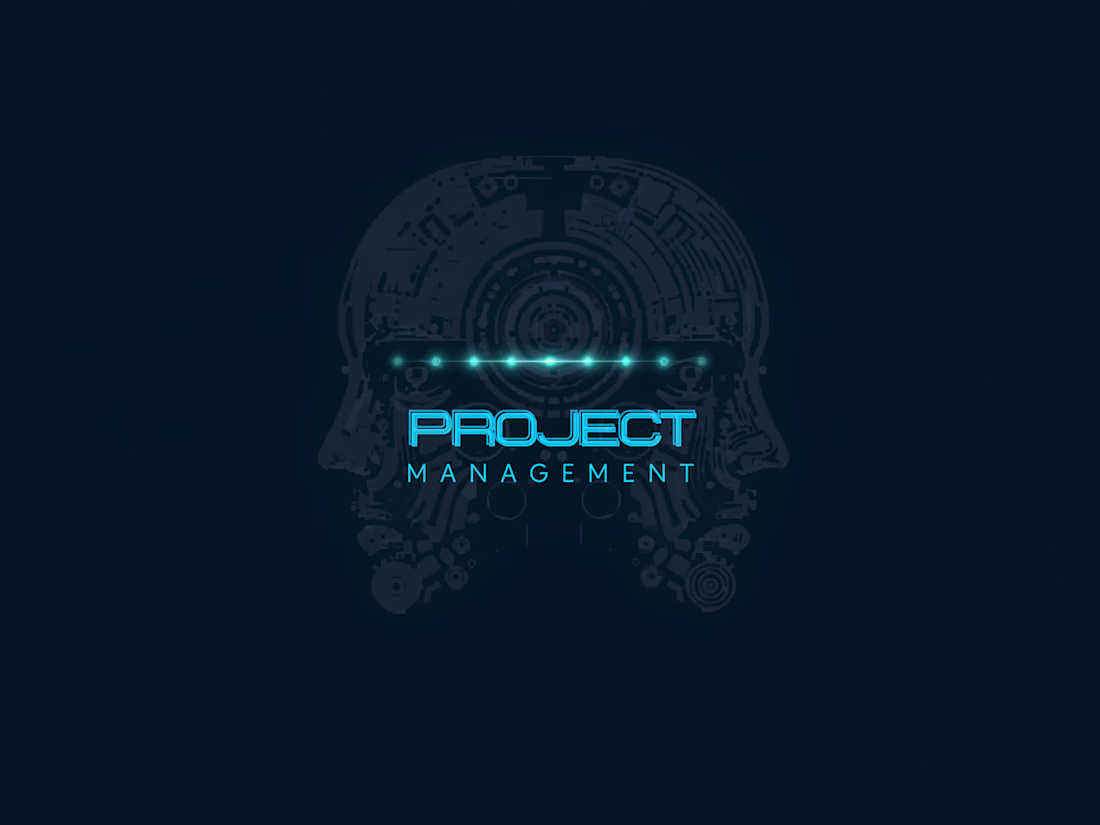 Cover image for Project Management Consulting