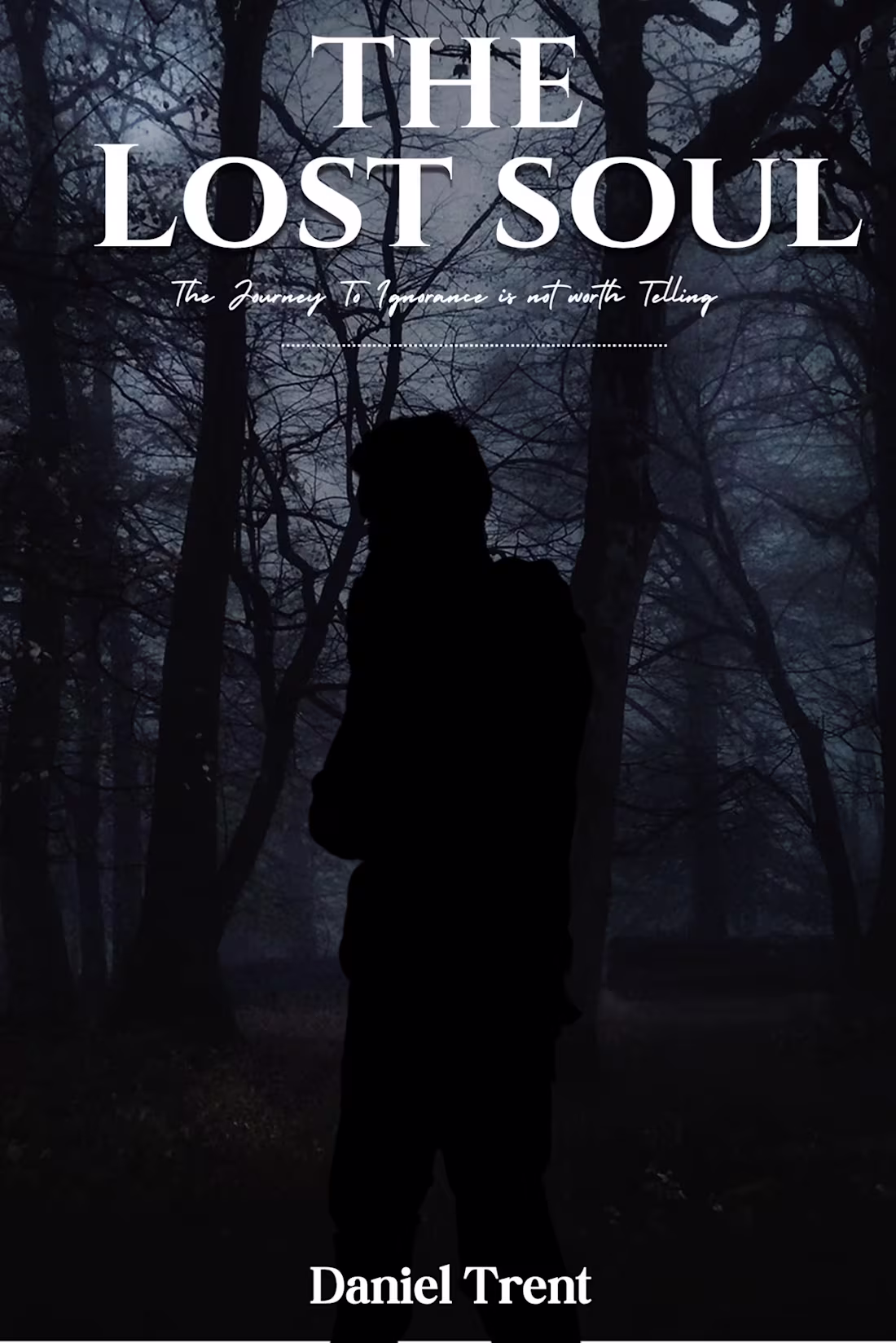 Cover image for : THE LOST SOUL —