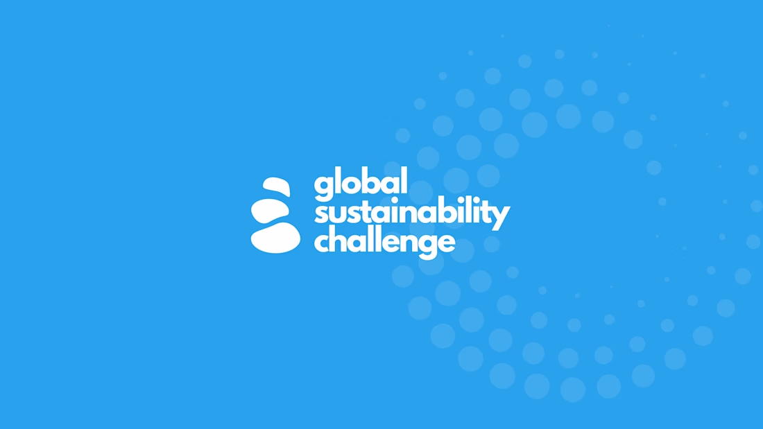 Cover image for Building a Shared Identity for a Global Sustainability Challenge