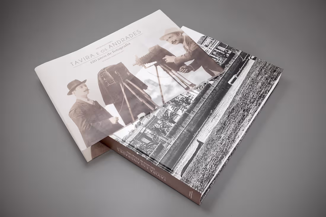 Cover image for BOOK "TAVIRA E OS ANDRADES"
Book