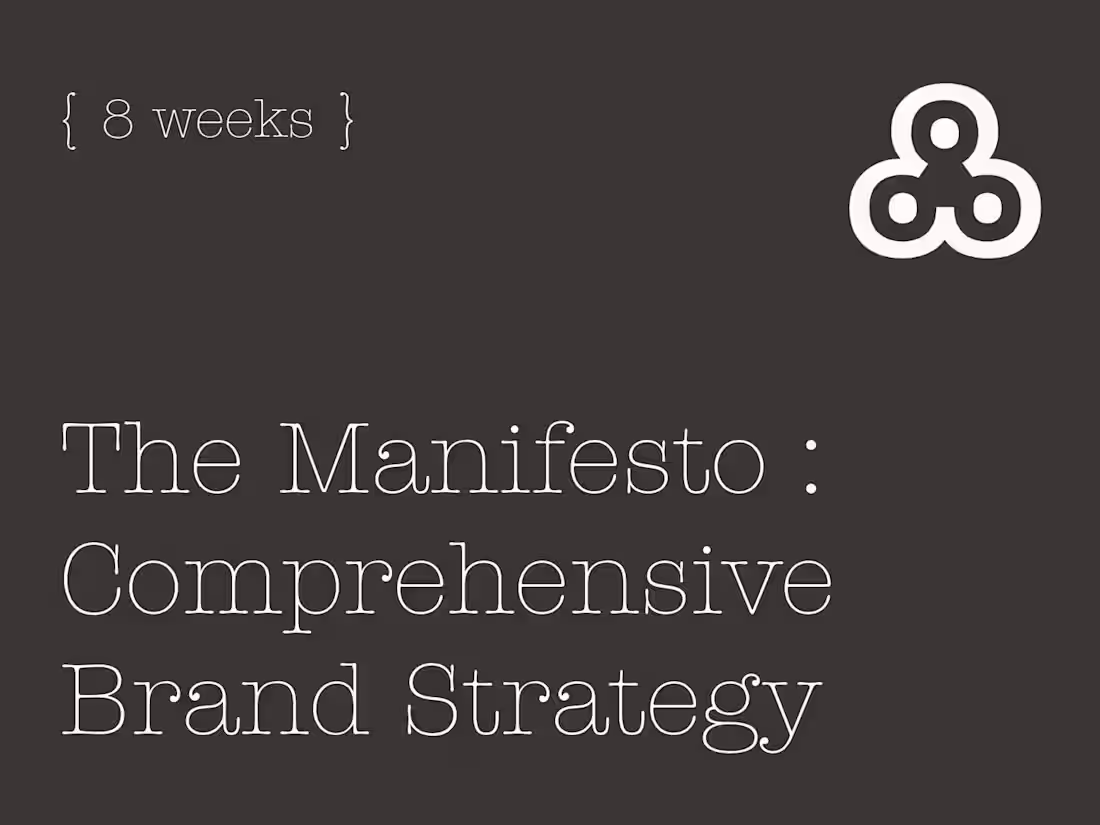 Cover image for The Manifesto : Comprehensive Brand Strategy