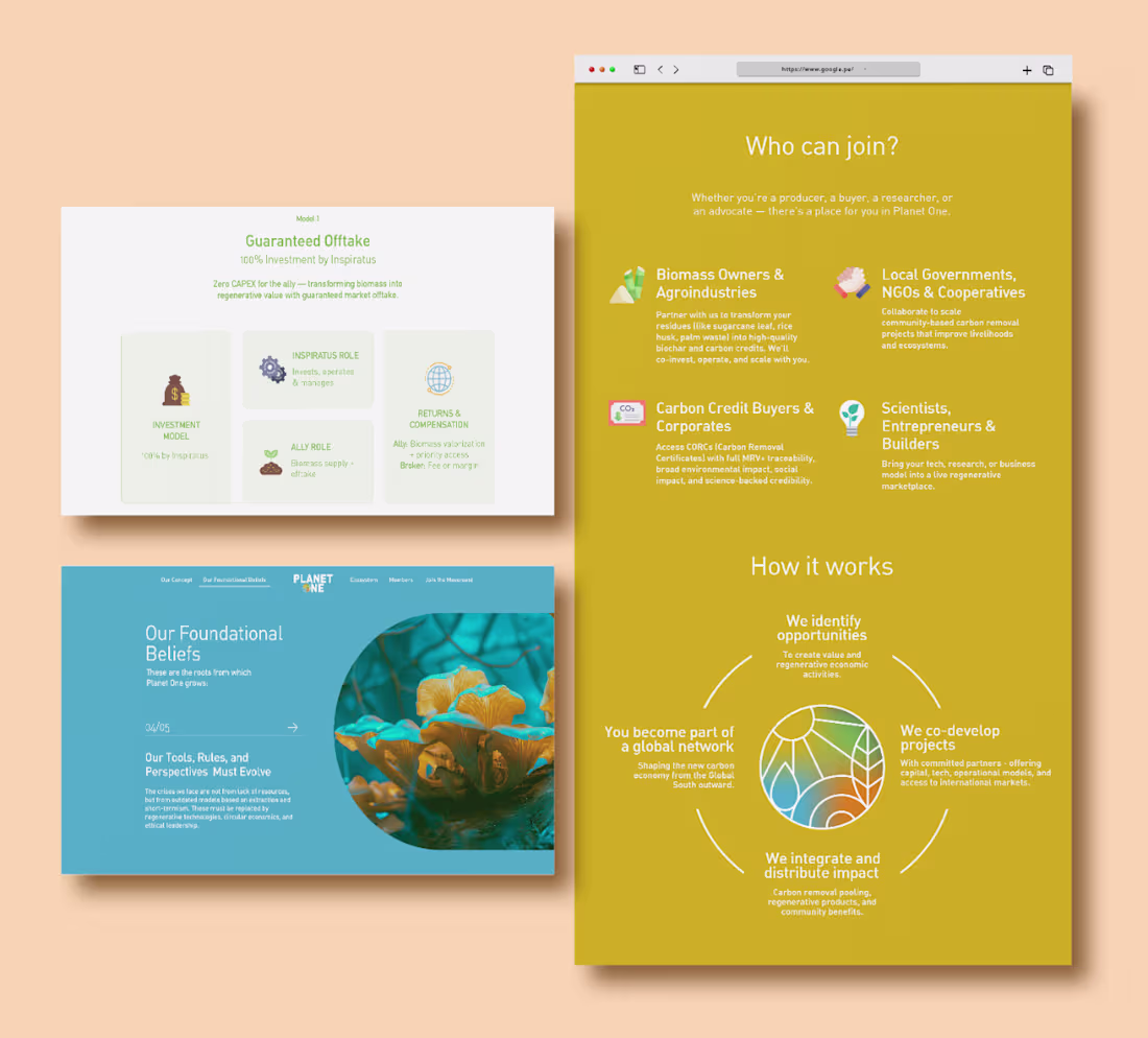 Cover image for Website Design & Development