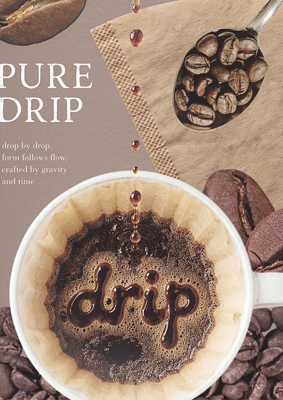 Cover image for A quiet visual of the