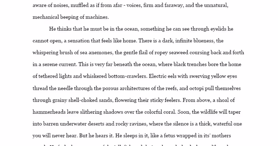 Cover image for DEEPSTARIA // EXCERPT