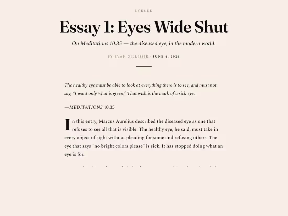 Cover image for The Edit — line & structure editing for essays and articles