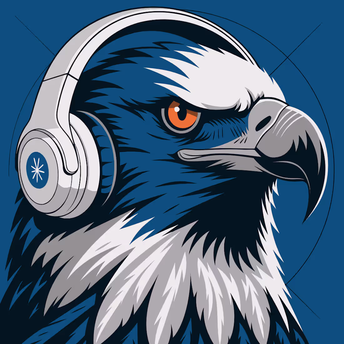 Cover image for For the Swoop brand identity,