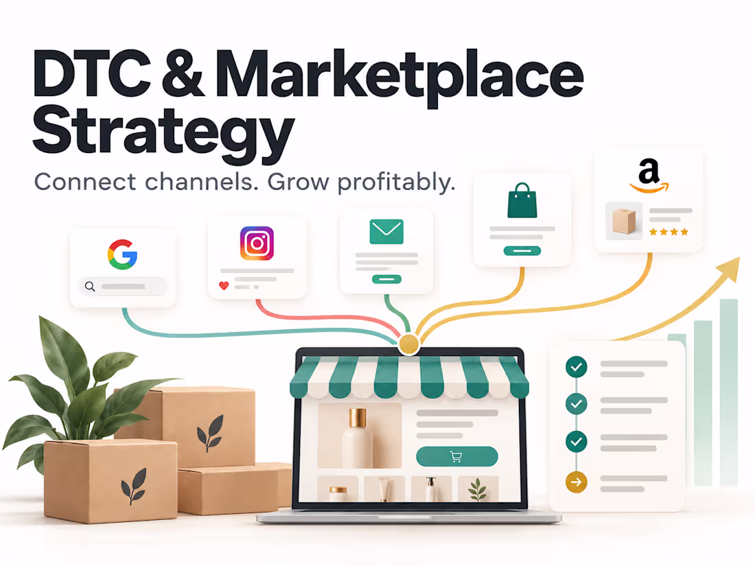 Cover image for DTC & Marketplace Growth Strategy