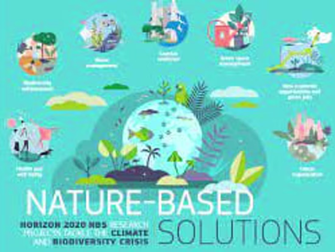 Cover image for Article: Trend of Nature-Based Solutions (NBS)