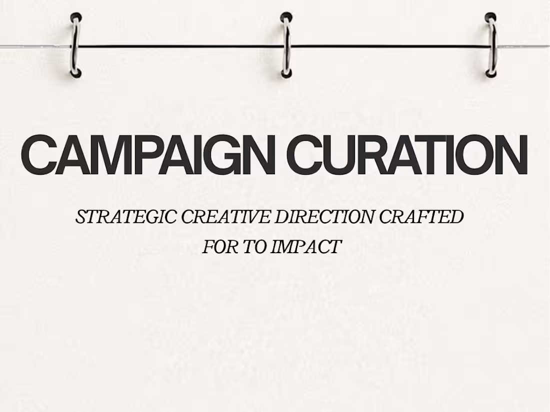 Cover image for CAMPAIGN CURATION