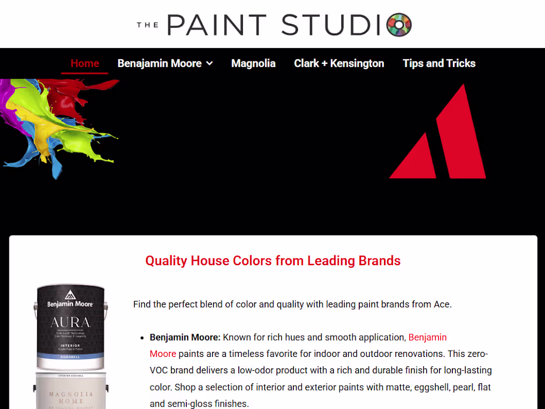 Cover image for The Paint Studio