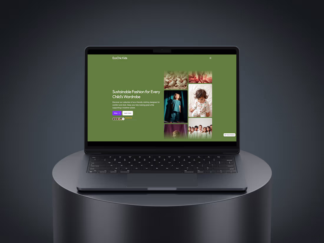 Cover image for Web Designer