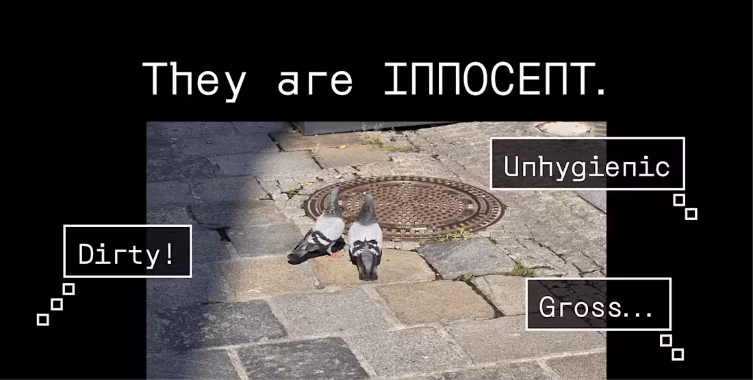 Cover image for Who is the susPECKt?: Pigeon Archive