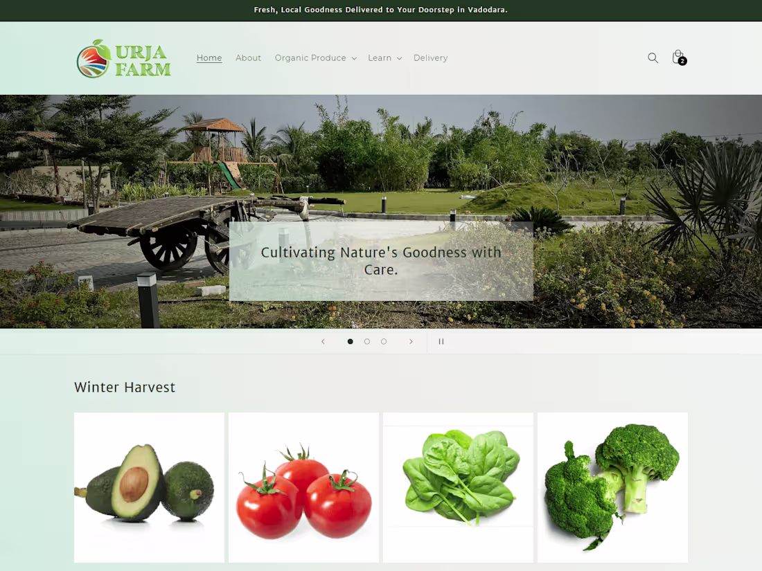 Cover image for Elevate Your Online Presence with Expert Web Design Services