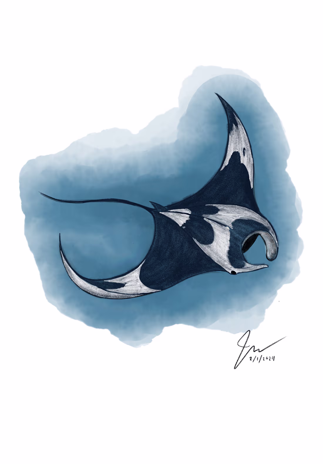 Cover image for The Ocean Life :: Behance