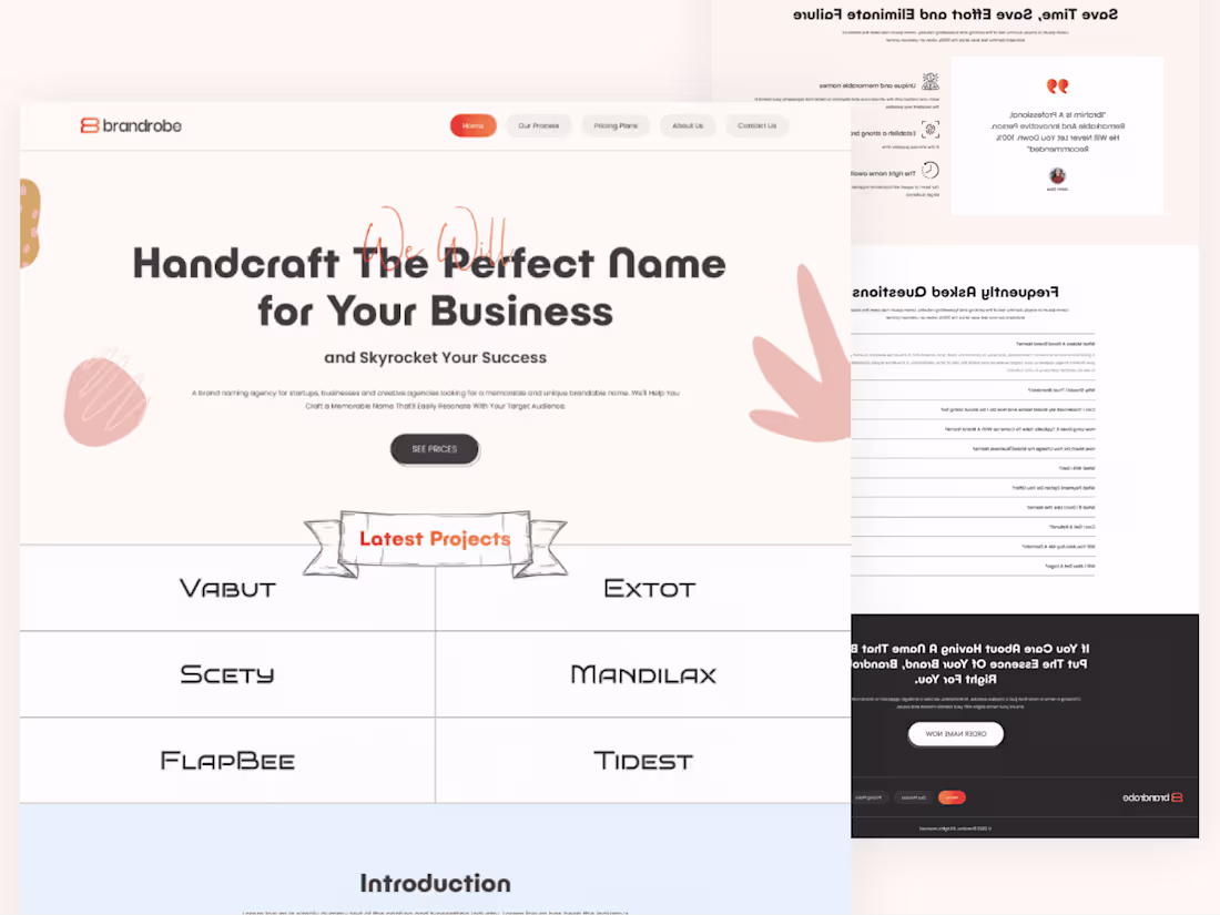 Cover image for Brandrobe Landing Page