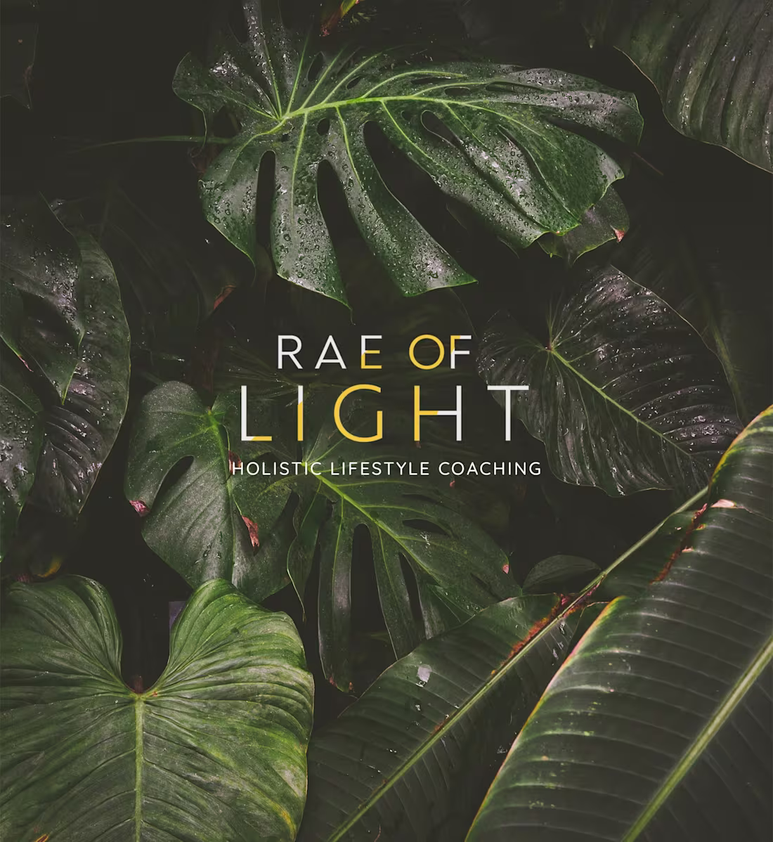 Cover image for RAE OF LIGHT - Logo and Branding 