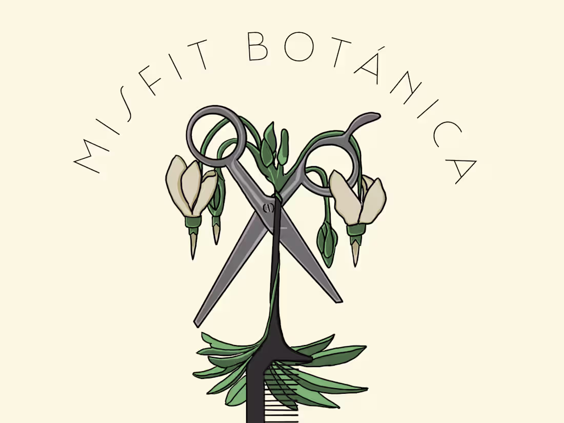 Cover image for Captivating and Refreshed Logos