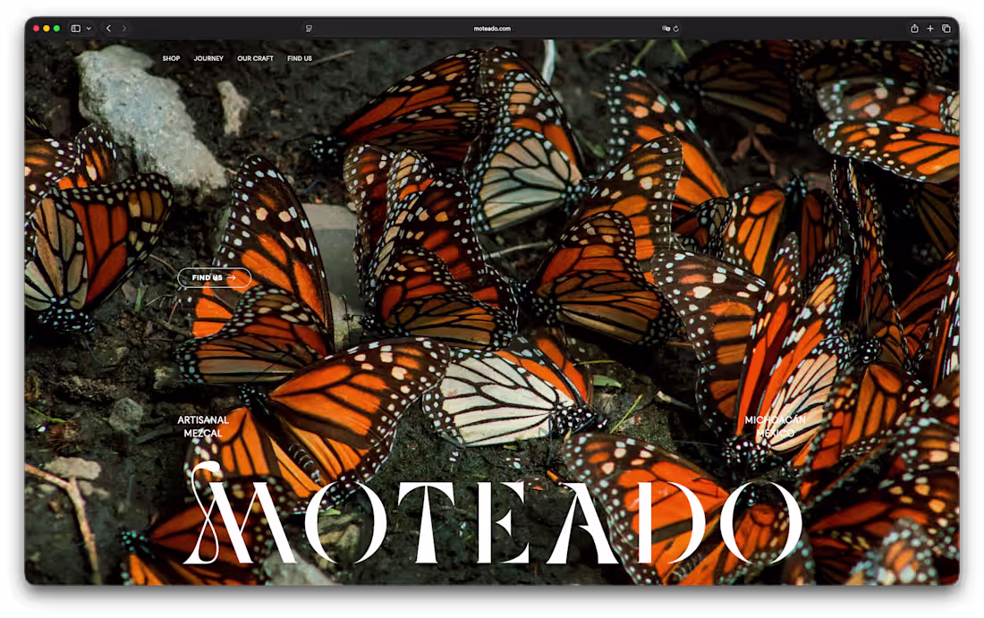 Cover image for Moteado Mezcal — Shopify UX