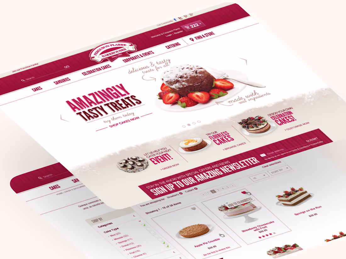 Cover image for Ferguson Flare Website Design